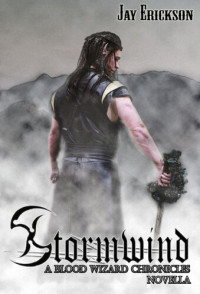 Jay Erickson — The Blood Wizard Chronicles Novella: Stormwind