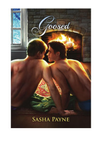 Payne Sasha — Goosed