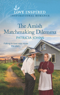 Patricia Johns — The Amish Matchmaking Dilemma