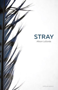LaSorda Allison — Stray