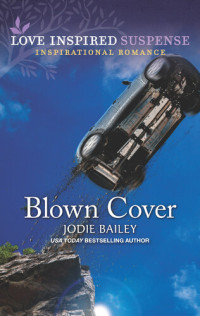 Jodie Bailey — Blown Cover
