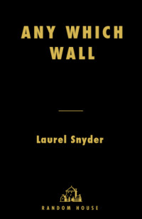 Snyder Laurel — Any Which Wall