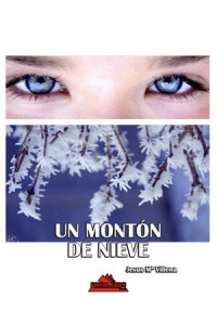 Jesús María Villena Martín — Un montón de nieve