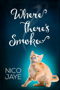 Jaye Nico — Where There's Smoke