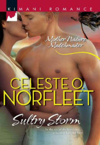 Norfleet, Celeste O — Sultry Storm