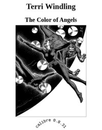 Windling Terri — The Color of Angels