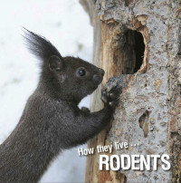 David Withrington, Ivan Esenko — How they live... Rodents: Learn All There Is to Know About These Animals!