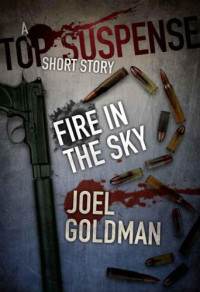 Goldman Joel — Fire in the Sky