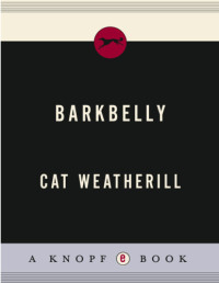 Weatherill Cat — Barkbelly