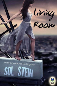 Stein Sol — Living Room