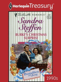 Sandra Steffen — Burke's Christmas Surprise