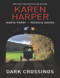 Karen Harper, Marta Perry, Patricia Davids — Dark Crossings: The Covered Bridge\Fallen in Plain Sight\Outside the Circle