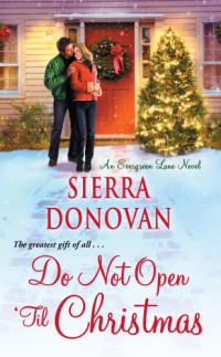 Donovan Sierra — Do Not Open 'Til Christmas
