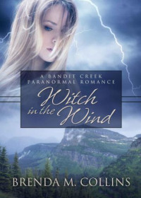 Collins, Brenda M — Witch in the Wind