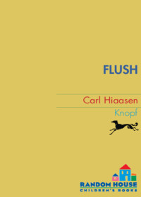 Hiaasen Carl — Flush