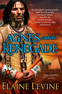 Levine Elaine — Agnes and the Renegade