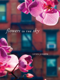 Joseph Lynn — Flowers in the Sky