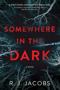 R. J. Jacobs — Somewhere in the Dark