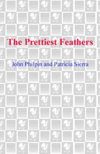 Philpin John — The Prettiest Feathers