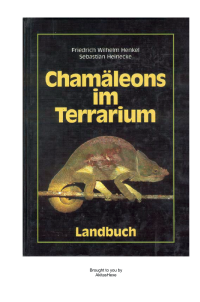 Henkel Friedrich W; Heinecke Sebastian — Chamäleons im Terrarium