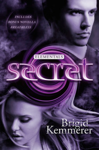 Kemmerer Brigid — Secret