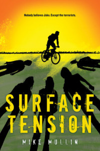 Mike Mullin — Surface Tension