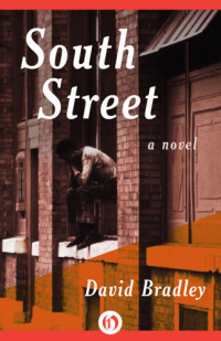 Bradley David — South Street