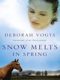 Vogts Deborah — Snow Melts in Spring