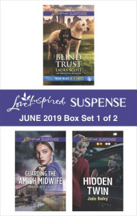 Laura Scott, Dana R. Lynn, Jodie Bailey — Harlequin Love Inspired Suspense June 2019 - Box Set 1 of 2
