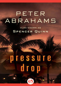 Abrahams Peter — Pressure Drop