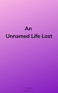 Greer, Luis Angel — An Unnamed Life Lost