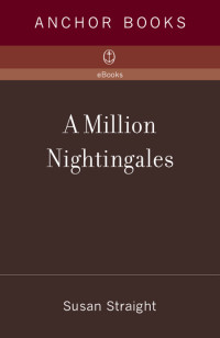 Straight Susan — A Million Nightingales