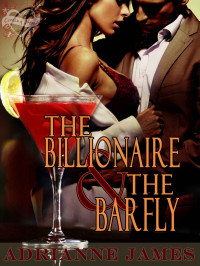 Adrianne James — The Billionaire & The Barfly