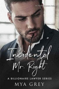 Mya Grey — A Billionaire Lawyer Series, Incidental Mr. Right ( Book 5) An Enemies-to-Lovers Romance