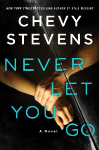 Stevens Chevy — Never Let You Go