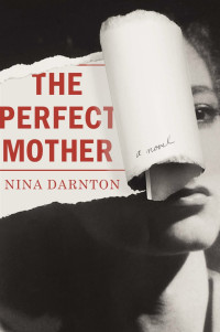 Darnton Nina — The Perfect Mother: A Novel
