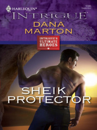 Marton Dana — Sheik Protector