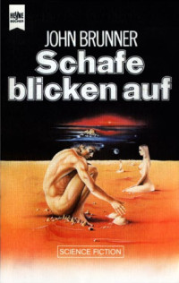 Brunner John — Schafe blicken auf