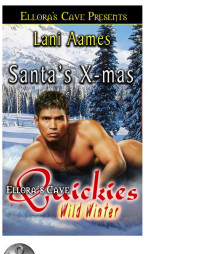 Aames Lani — Santa's X-mas