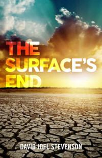 David Joel Stevenson — The Surface's End