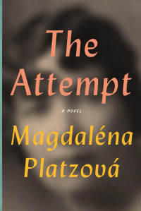 Platzova Magdalena — The Attempt