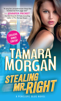 Morgan Tamara — Stealing Mr. Right