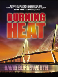 David Burnsworth — Burning Heat