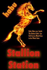 Habu — Stallion Station (MM)