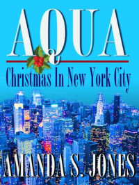 Jones, Amanda S — Christmas in New York City