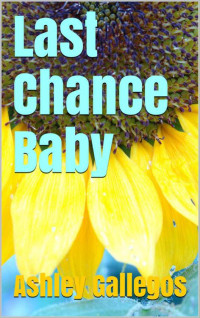 Gallegos Ashley — Last Chance Baby