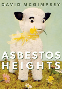 McGimpsey David — Asbestos Heights
