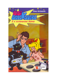 Schwartz Theo — Bibi Blocksberg 9 3 x schwarzer Kater