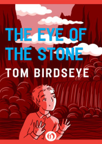 Birdseye Tom — The Eye of the Stone