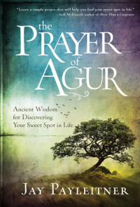 Jay Payleitner — The Prayer of Agur: Ancient Wisdom for Discovering Your Sweet Spot in Life